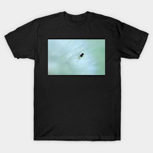 Hanging on... T-Shirt